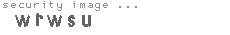 security image
