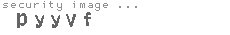 security image