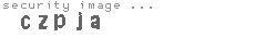 security image