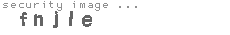 security image