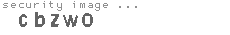 security image