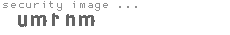 security image