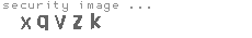 security image