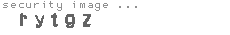 security image