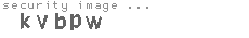 security image