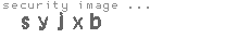 security image