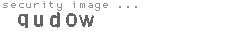 security image