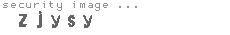 security image