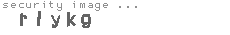 security image