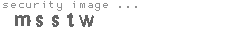 security image