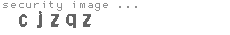 security image