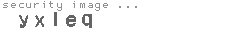 security image