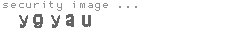 security image