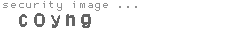 security image
