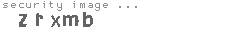 security image