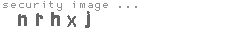 security image
