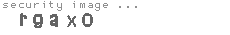 security image