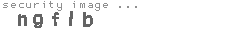 security image