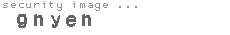 security image