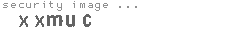security image