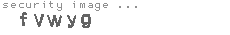 security image