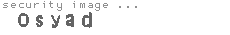 security image