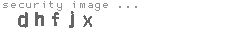 security image