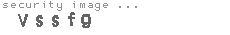 security image