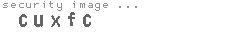 security image