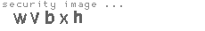 security image
