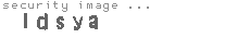 security image