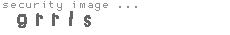 security image
