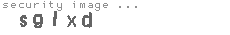 security image