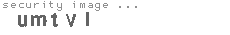 security image