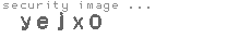 security image