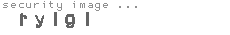 security image