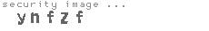 security image