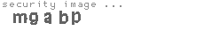 security image