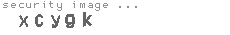 security image
