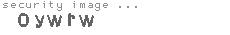 security image
