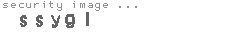 security image