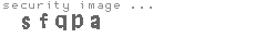 security image