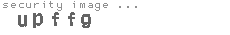 security image
