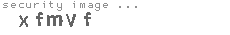 security image