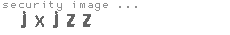security image