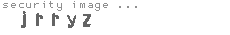 security image
