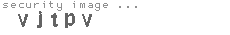 security image