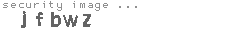 security image