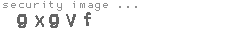 security image
