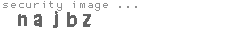 security image